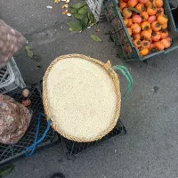 برنج سالم و لاشه و نیمدانه هاشمی.علی کاظمی|خوردنی و آشامیدنی|سنگر, |دیوار