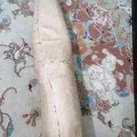 فوریت پزشکی آف ویژه مدت محدود