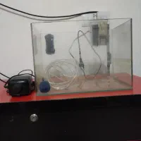 آکواریوم|ماهی|مشهد, همت آباد|دیوار