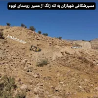 اجاره زمین کشاورزی دیم