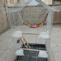 قفس پرنده