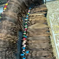 مرکز خرید موهای طبیعی(خریدار مو )