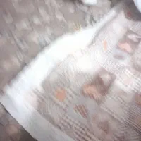 وانت بارمنصف