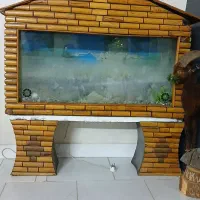 آکواریوم سالم با وسایل