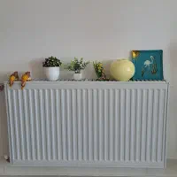 تعدادی تزئینات درحدنو