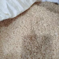 برنج‌امساله فجر