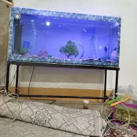 اکواریوم و پایه