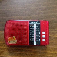 رادیو اسپیکر جیبی بلوتوثی مارک گولون