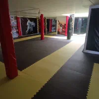 باشگاه کاراته