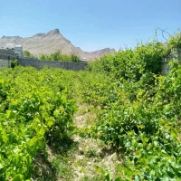 فروش باغ چهاردیواری  ۸۵۰ تومان