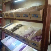 ۳باکس دکور خشکبار و آجیل|فروشگاه و مغازه|مشهد, شهرک مهرگان|دیوار