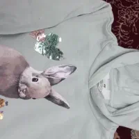 تعدادی هودی بافت و دورس پسرونه خارجی مارکدار