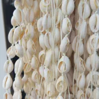 گردنبند صدف