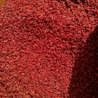 زرشک|خدمات باغبانی و درختکاری|قائن, |دیوار