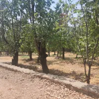 زمین ۳۵۰ متری در تاپ لوکیشن روستای ییلاقی فشند|فروش زمین و ملک کلنگی|هشتگرد, فشند|دیوار