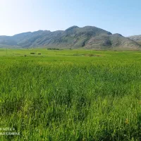 فروش و معاوضه زمین مسکونی