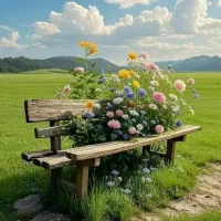 عروس هلندی گمشده