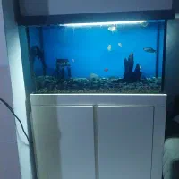 آکواریوم شرکتی