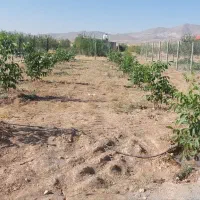 خونه باغ در زنجان سلطانیه