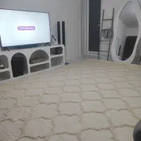 فرش شگی پارکو