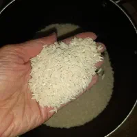 ۵کیلو برنج هاشمی کیلویی ۲۰۰|خوردنی و آشامیدنی|رشت, چمارسرا|دیوار