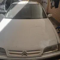 کاپوت زانتیا