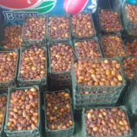 رطب|خوردنی و آشامیدنی|بوشهر, |دیوار