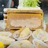 دهکده عسل برازجان|خوردنی و آشامیدنی|برازجان, |دیوار