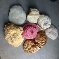 قلنبه وآسیابی ودون مواد نوپلی آمید۶ اسپانیا-آلمان|عمده‌فروشی|رباط‌کریم, شهرک صنعتی ده‌حسن|دیوار