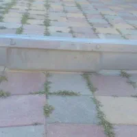 سپرجلووانت