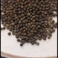 سیاه دانه (قره ماش)