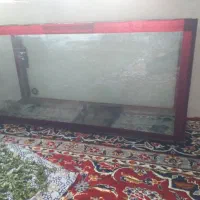 شیشه ماهی آکواریوم ماهی