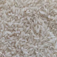 برنج لنجان صحرای نکوآباد|خوردنی و آشامیدنی|مبارکه, |دیوار