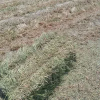 پرس چین دوم