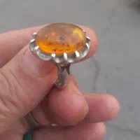 انگشترکهربا