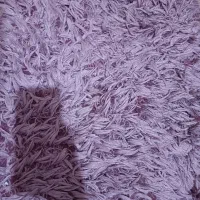 دوعددپادری 300 تومان