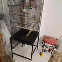قفس پرنده