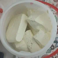 پنیر ارگانبک گاوی  + گوسفندی
