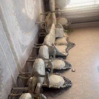 مبل سلطنتی 9نفره|مبلمان خانگی و میز عسلی|تهران, یاخجی آباد|دیوار