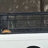 باربند وانت