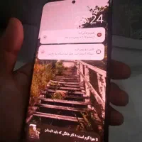 شیامی نوت 12