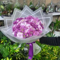 داوودی  و بابونه بسته ای ۱۰۰ تومان