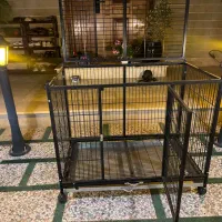 قفس حیوانات چرخ دار