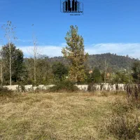 زمین ۷۵۰ متری مسکونی کوهپایه ای/جاده ماسوله|فروش زمین و ملک کلنگی|ماکلوان, |دیوار