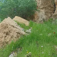 زمین مسکونی