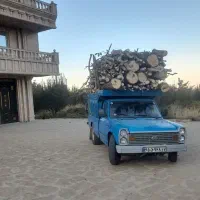 خرید انواع چوب در باغات
