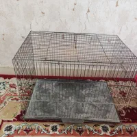 قفس پرنده ، قفس جونده|لوازم جانبی حیوانات|اندیشه, اندیشه فاز ۱|دیوار