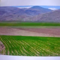 زمین کشاورزی