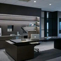 کار حرفه ای در اینستاگرام