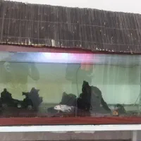 اکواریوم با تجهیزات کامل